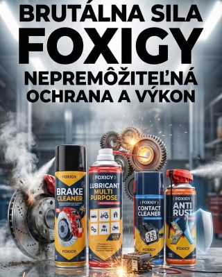 V Profigaráži používame Foxigy – produkty, za ktorými si stojíme: rýchly účinok, presný výsledok a menej nervov. 🔧 Čistič...